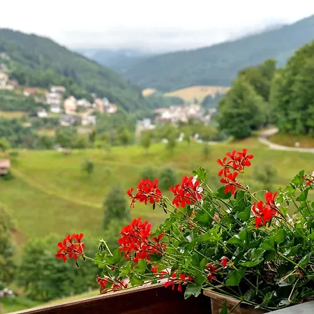 Brutoni Appartamento