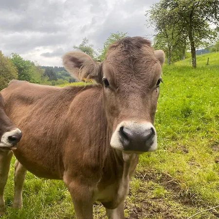 Appartamento Brutoni Bad Peterstal-Griesbach